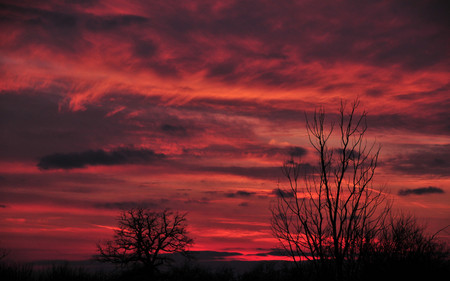 Red sky - nature, sky