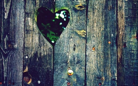 Wooden heart - wooden, heart, green, wood, boards, forest, texture