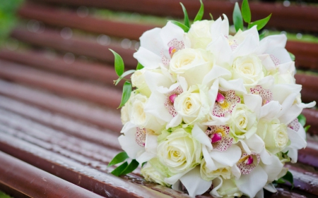 Beautiful bouquet - flowers, bench, petals, bouquet