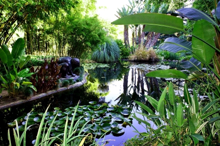 Garden - flower, nature, pond, garden