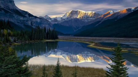 superb mountain reflection - mountains, lake, forest, reflection