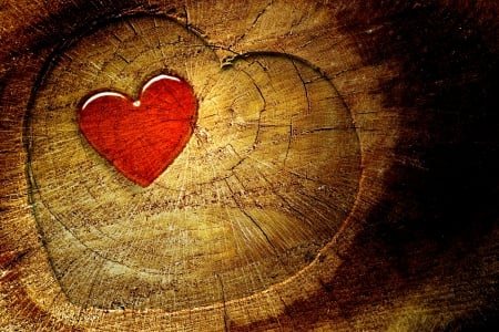 HAPPY VALENTINE's DAY - happ, stump, heart, valentines day, tree