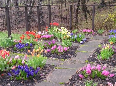 Fortress residents - brecksville, spring, tulips, ohio