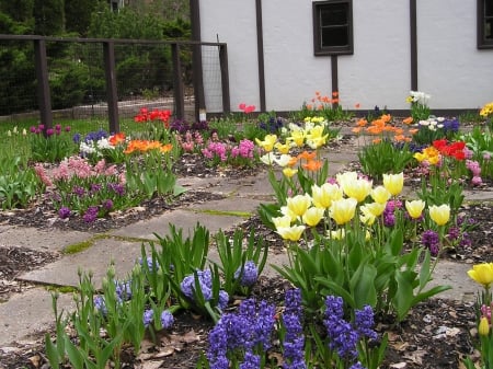 Fortress - brecksville, spring, tulips, ohio