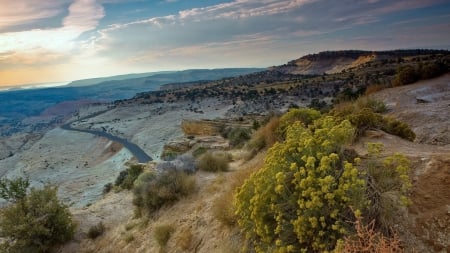 blacktop road on desert mountains - blacktop, mountains, desert, road, bushes