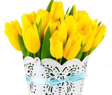 Tulips - yellow tulips, tulips, for you, vase, with love, nature, bow, flowers, ribbon, tulip