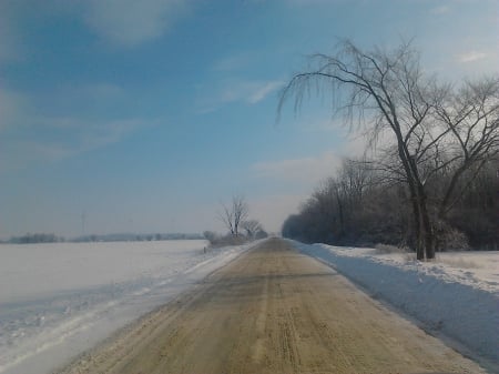 ~~; refinery road ;~~ - snow, trees, winter, nature