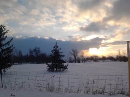 ~~; healing touch ;~~ - snow, clouds, trees, sunset