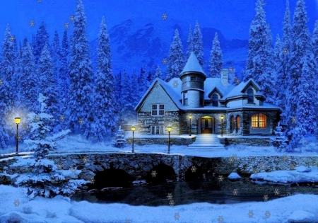 House in winter night - nice, beauiful, winter, house, flowers, colors