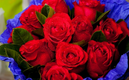 Red roses - flowers, bouquet, red, rose