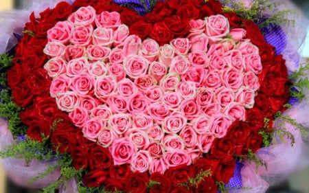 Beautiful roses - flowers, roses, bloom, heart