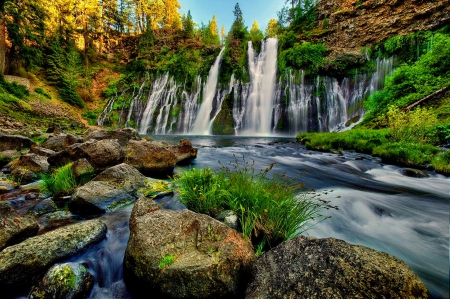 Forest waterfall - greenery, falling, trees, beautiful, stream, grass, forest, stones, fall, nature, waterfall, lvoely, rocks