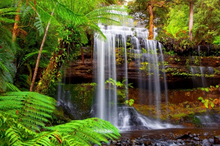 Russell falls - falls, falling, cascades, greenery, waterfall, plants, lovely, rocks, forest, beautiful, stones, grass