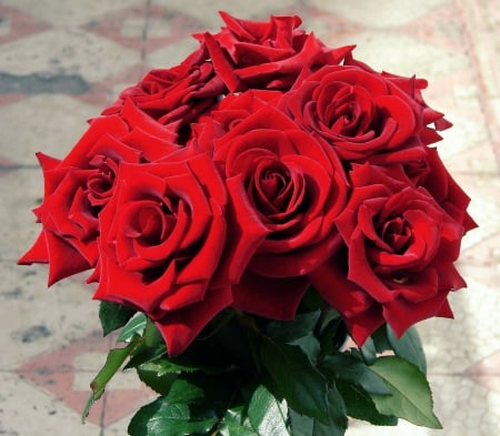 Bouquet of Red Roses! - nature, roses, red, bouquet, flowers