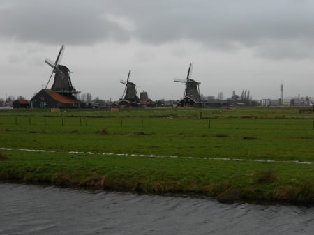 Windmills in Zaanse Schans - zaanse schans, windmills, cloudy, green