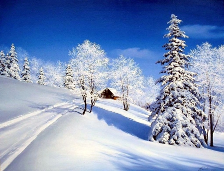 Winter Wonderland - path, trees, white, snow, cottage