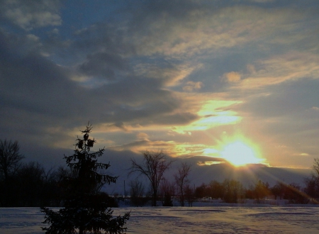 ~~; Creator, watch over all people tonight ;~~ - winter, tree, sunset, snow