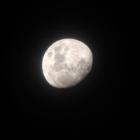 Our Moon