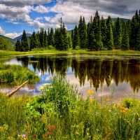 Small mountain pond