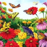 â˜…Garden of Butterfliesâ˜…