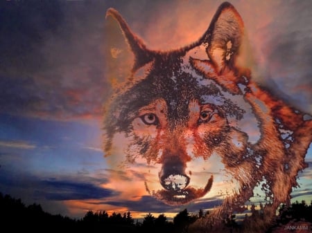 Wolves time. - abstract, fantasy, art, others