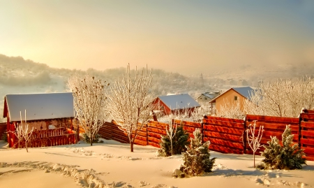 Winter - snowflakes, splendor, snow, photo, sky, sun, trees, winter, beautiful, photography, lovely, tree, wonderful, ice, nature, snowflake, cold