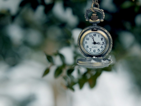 Still life - hang, still life, time, clock