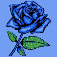 blue rose