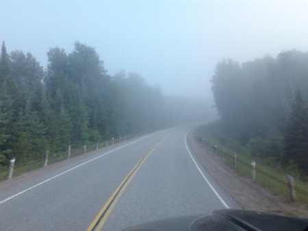 ~~; Mazinaw North ; - fog, trees, travel, mazinaw