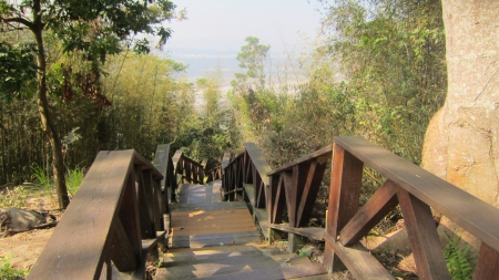 Bamboo trail - green, stair, trail, bamboo