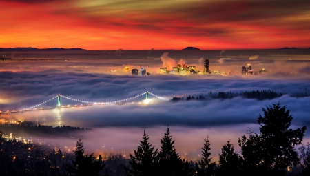 Misty Morning - clouds, firs, colors, sky, bridge