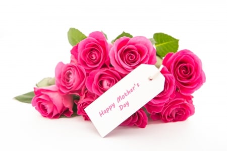 With Love - flowers, roses, for you, nature, pink roses, rose, with love