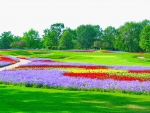 16th Hole at SentryWorld Wisconsin