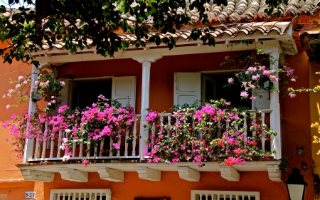 Balcony - flowers, photo, fence, balcony