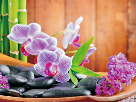 Spa still life - calm, pretty, relax, spa, beautiful, fragrance, lovely, petals, still life, bamboo, rest, leaves, stones, flowers, scent, zen