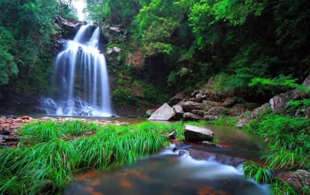 Forest waterfall - cascades, creek, stream, grass, forest, leaves, place, falling, greenery, branches, trees, water, beautiful, lovely, stones, fall, nature, waterfall, rocks