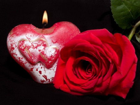 ~ â™¥áƒ¦ Happy  Valentine's Day áƒ¦â™¥ ~ - abstract, heart, valentines day, still life, red rose