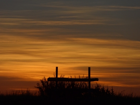 The Dawn - morning, bushes, clouds, dawn