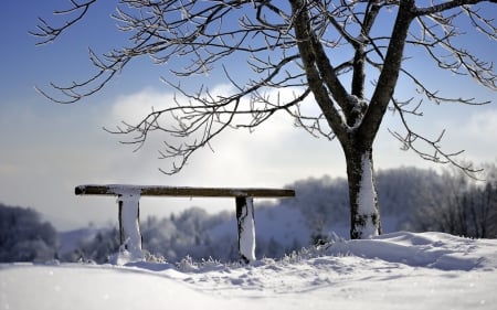 *** Winter *** - nature, trees, banch, snow, winter