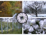 The Four Seasons Collage