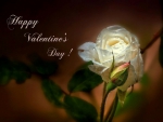 Happy Valentine Day