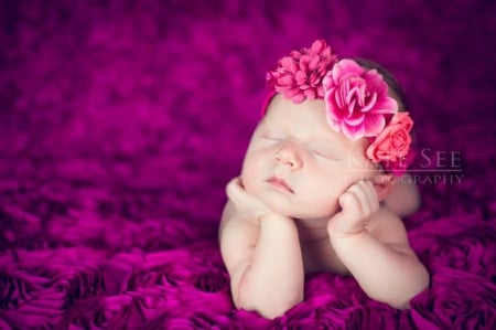 Little Angel - purple color, roses, velvet blanket, little angel, lovely, sleeping, pink hot