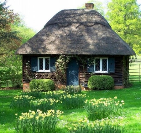 fairytale cottage - nature, houses, photography, architecture, green