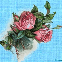 VINTAGE ROSE