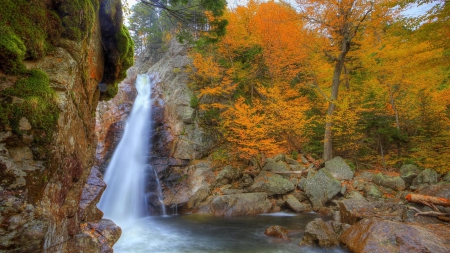 gorgeous waterfall in autumn - autumn, trees, cliff, waterfall, pool, rocks