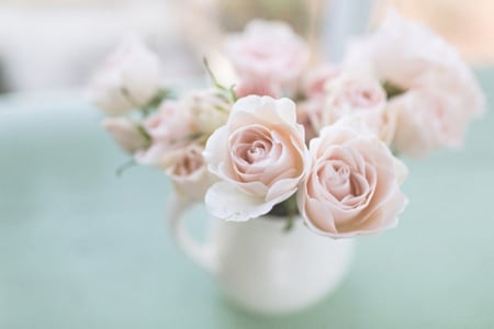 Soft Pink - flowers, vase of roses, beautiful, soft, pink roses, photography, pink, pastel