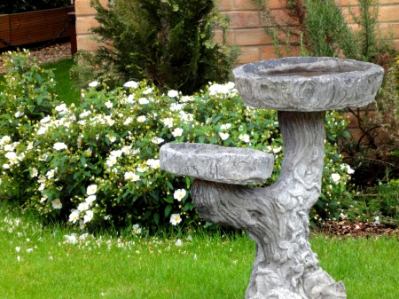 Birdbath - bath, bird, water, bowl