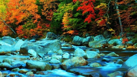 rocky autumn stream - streams, autumn, trees, popular, stream, wallpaper, rocks, forest, rocky