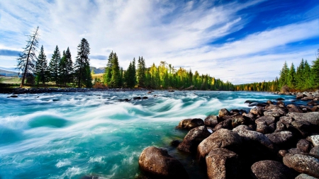 wonderful rapid river - rapids, trees, clouds, river, rocks