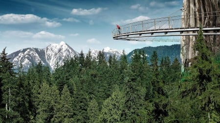 amazing capilano suspension cliff bridge in canada - suspension, cliff, forest, mountains, man, bridge